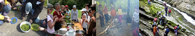 Kräuterklang - Rosanna Dietz Ems - Winterthur