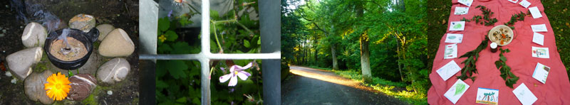 Kräuterklang - Rosanna Dietz Ems - Winterthur